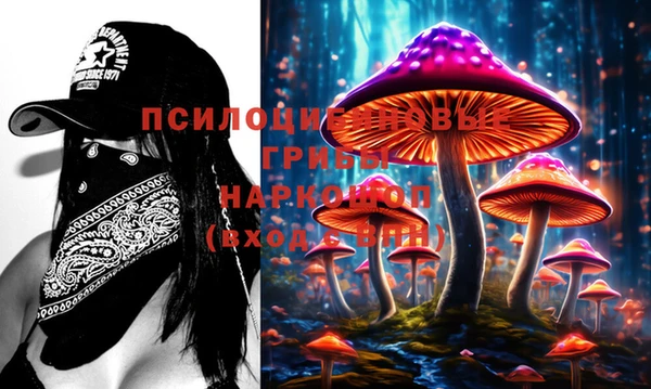 Альфа ПВП Алексин