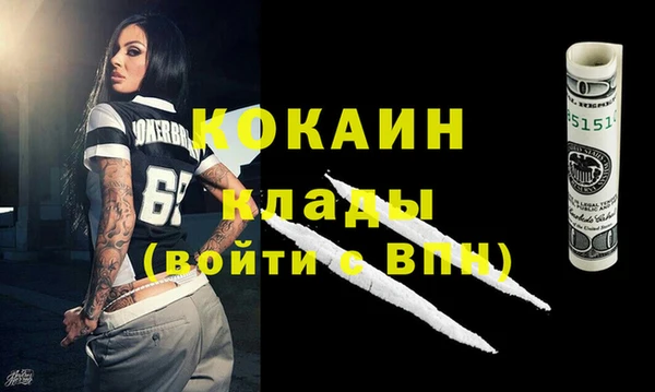 дживик Алзамай