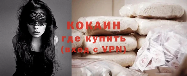 дживик Алзамай