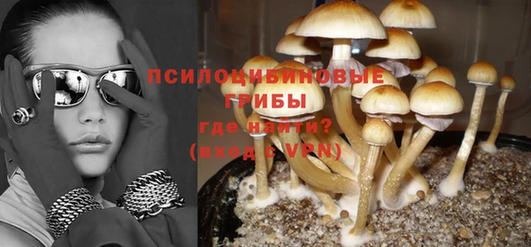 дживик Алзамай