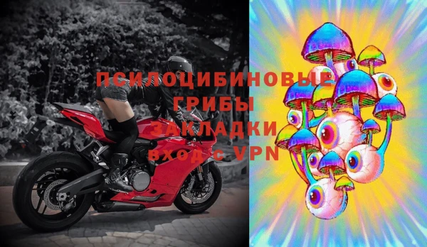 дурь Инта