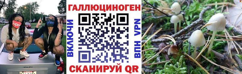 Псилоцибиновые грибы мухоморы  Мышкин 